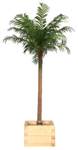 10ft Palm Tree w