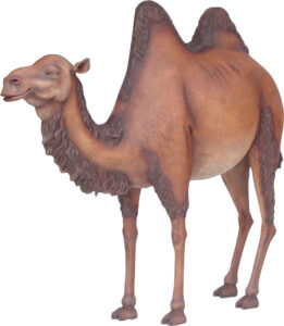 Life Size Resin Cast Camel Statue