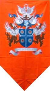 4x8ft Orange Medieval Banner