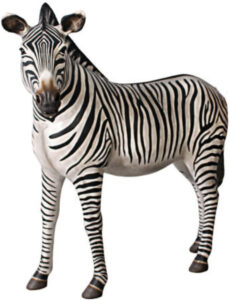 Life Size Resin Cast Zebra l