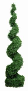 Tall spiral topiary shrub trimmed into a twisting vertical column.