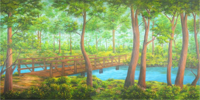 Wooden pedestrian bridge across a calm blue stream in a lush green forest.