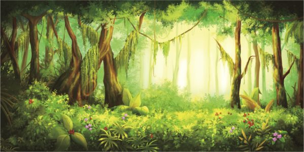 Sunlit tropical rainforest with tall trees, dense green undergrowth, and vines, light streaming through the canopy in a peaceful scene.