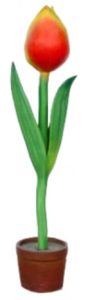 Red-orange tulip with green leaves in a small terracotta pot.