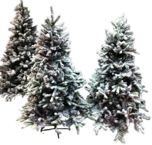 Three snow-dusted evergreen Christmas trees with frosted branches on a white background.