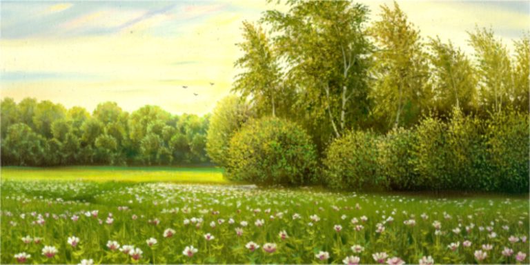 Sunlit meadow with pink and white flowers, bordered by trees under a blue sky.