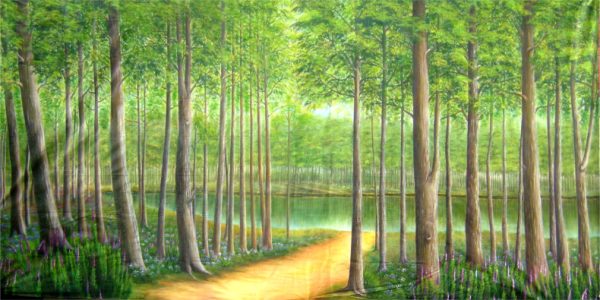 Sunlit forest path winding through tall trees toward a tranquil lake, with purple flowers along the roadside.